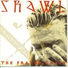 The Prayer Chain - Shawl