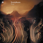 Trinity Roots - True