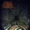 Spawn Of Possession - Cabinet