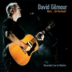 David Gilmour - Wot's...Uh The Deal? Live In Gdansk