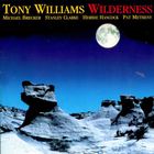 Tony Williams - Wilderness