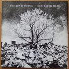 The Bevis Frond - New River Head (Remastered 2003) CD1