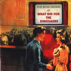 The Bevis Frond - What Did For The Dinosaurs