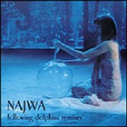 Najwa - Following Dolphins Remixes
