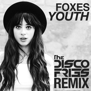 Youth (Disco Fries Radio Remix) (CDS)