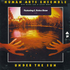 Under The Sun (Vinyl)