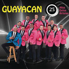 Guayacán Orquesta - 25 Años,25 Éxitos, 25 Artistas CD1