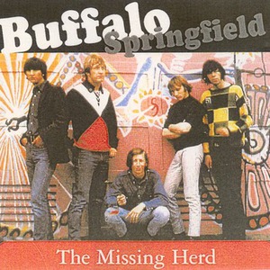 The Missing Herd: Do Not Approach Buffalo CD1