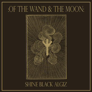 Shine Black Algiz (CDS)