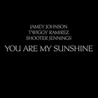 Jamey Johnson - You Are My Sunshine (Feat. Twiggy Ramirez & Shooter Jennings) (CDS)