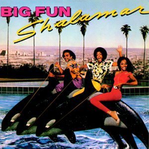 Big Fun (Vinyl)