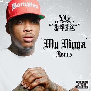 My Nigga (Remix) (cds)