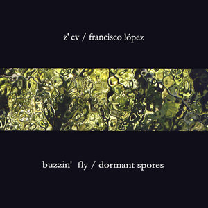 Buzzin' Fly & Dormant Spores CD1