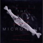 Micronaut - Friedfisch