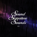 Theo Parrish - Sound Signature Sounds Vol. 2