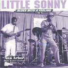 Little Sonny - Blues With A Feeling (Remastered 1996)