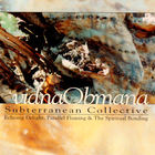 Vidna Obmana - Subterranean Collective CD1