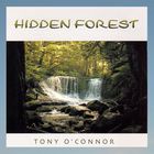 Tony O'Connor - Hidden Forest