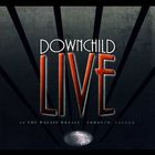 Downchild Blues Band - Live At The Palais Royale