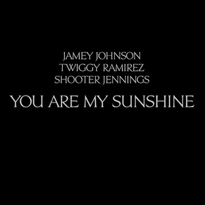 You Are My Sunshine  (CDS)