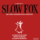 The Ray Hamilton Ballroom Orchestra - Slowfox