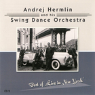 Andrej Hermlin & His Swing Dance Orchestra - Best Of... : Best Of Live In New York (2002) CD2