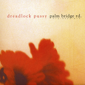 Palm Bridge Rd