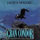 Jach'a Mallku - Gran Condor