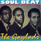 Soul Beat (Vinyl)
