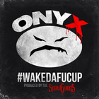 Onyx - Wakedafucup