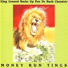 The Bush Chemists - Money Run Tings (With King General)