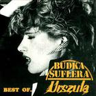 Budka Suflera - Best Of (With Urszula)