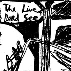 The Dead C - The Live Dead See
