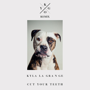 Cut Your Teeth (Kygo Remix) (CDS)