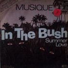 Musique - In The Bush (VLS)