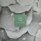Technasia - Evergreen (EP)