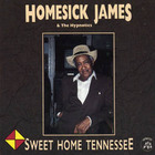 Homesick James - Sweet Home Tennessee