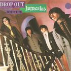 Barracudas - Drop Out (Reissued 2005)
