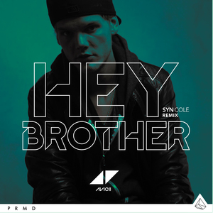 Hey Brother (CDS)