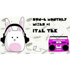 Ital Tek - Bun-E Monthly Mixes #1 (EP)