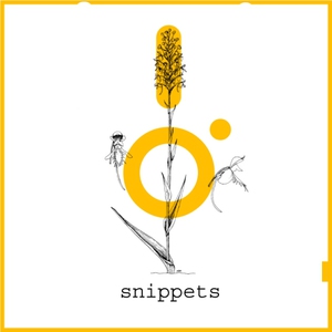 Snippets