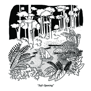 Soft Opening
