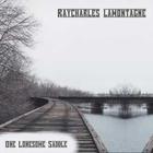 Ray Lamontagne - One Lonesome Saddle