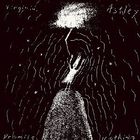Virginia Astley - Promise Nothing (Vinyl)
