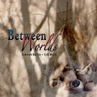 Erik Wollo - Between Worlds (& Deborah Martin)