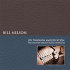 Bill Nelson - Joy Through Amplification (The Ultra-Fuzzy World Of Priapus Stratocaster)