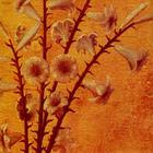 Kuroyume - Mayoeru Yuritachi (Romance Of Scarlet)