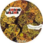 Chenard Walcker - Houseplant