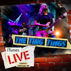 The Ting Tings - Itunes Live London Festival