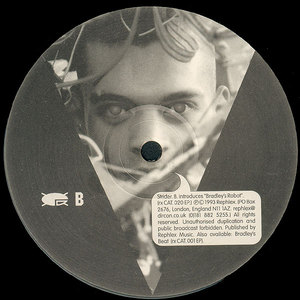 Bradley's Robot (EP)